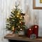2ft. Pre-Lit Happy Hill Pine Artificial Christmas Tree, Warm White LED Lights